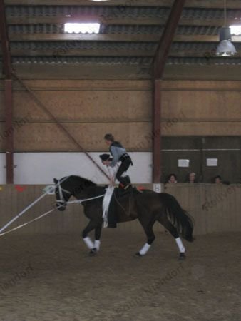 piraten 3